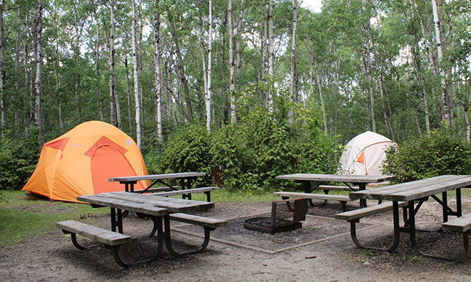 Campsites and Cookhouses